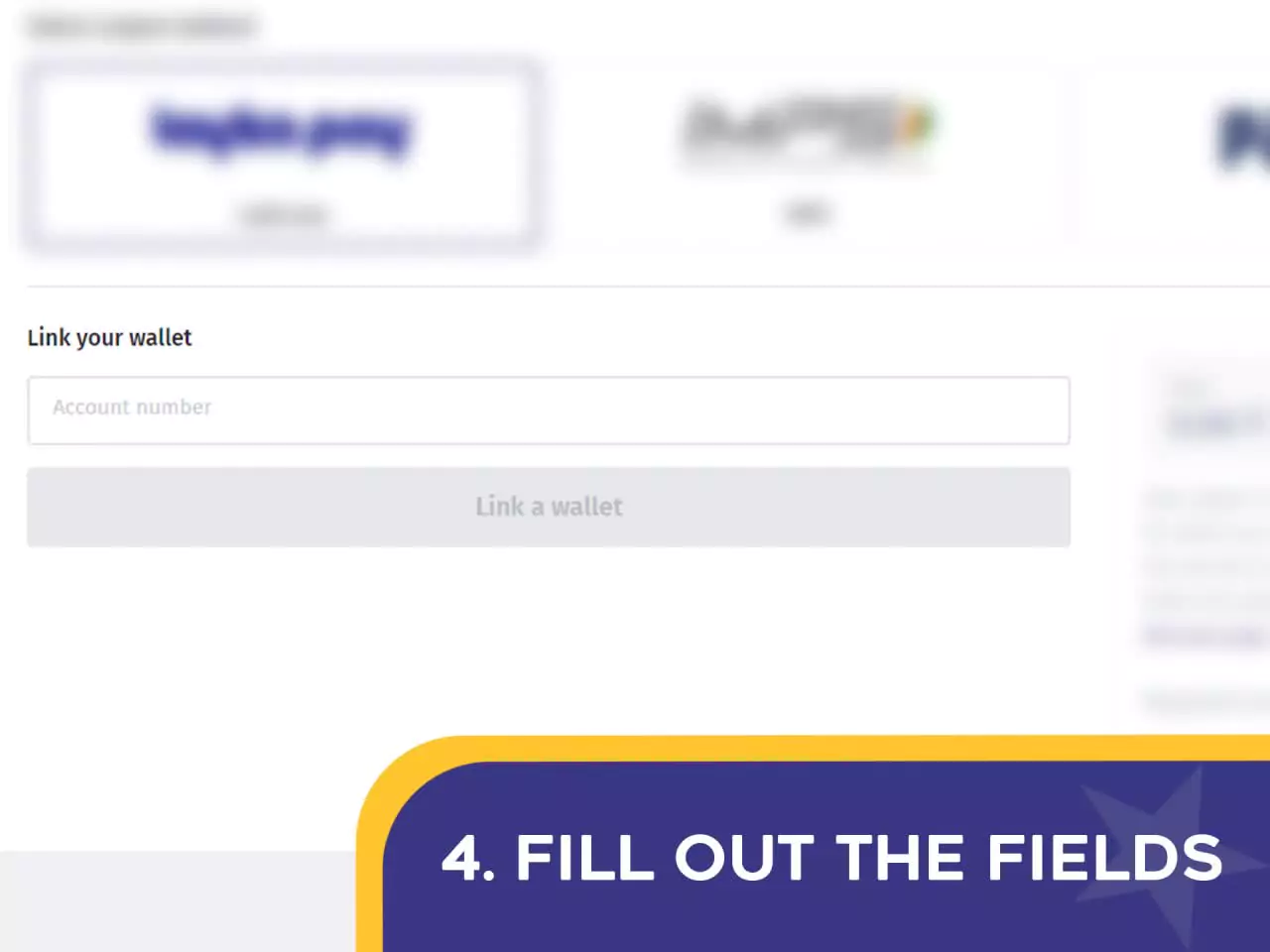 Provide all the necessary payment information.